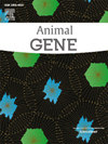 Animal Gene