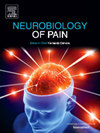 Neurobiology of Pain