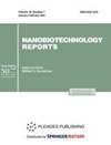 Nanotechnologies in Russia